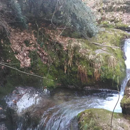 Wickys Igelnest Apartman Malsch