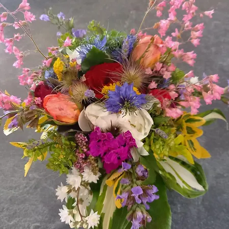 Wickys Igelnest Apartman