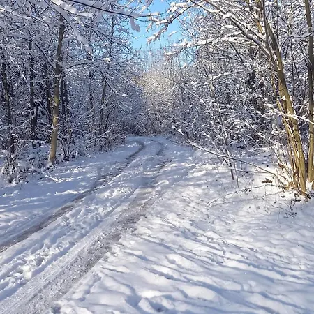 Wickys Igelnest Apartman