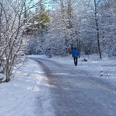 Wickys Igelnest Apartman Malsch