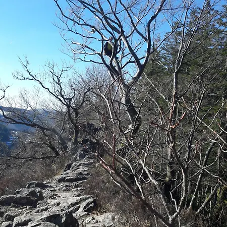 Wickys Igelnest Apartman Malsch