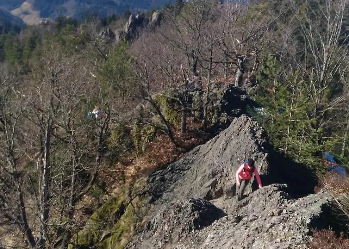 Wickys Igelnest * Malsch (Karlsruhe)