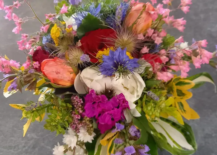 Wickys Igelnest Apartament